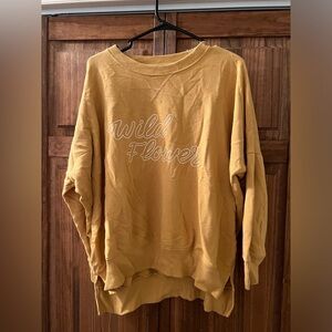 Aerie crewneck sweater